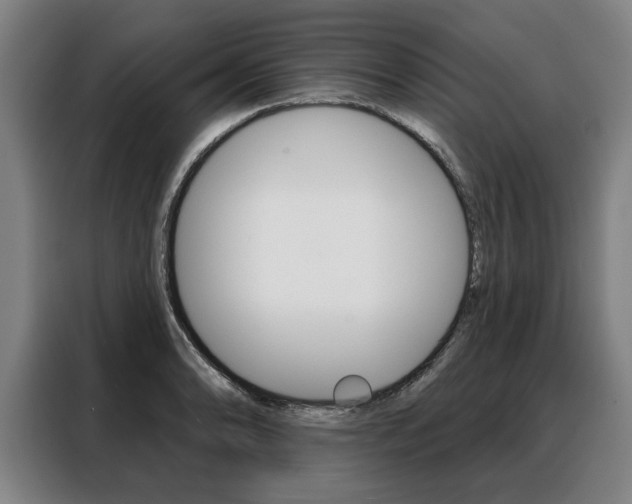 X0000088471086200705220935