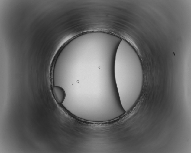 X0000088471087200705220935