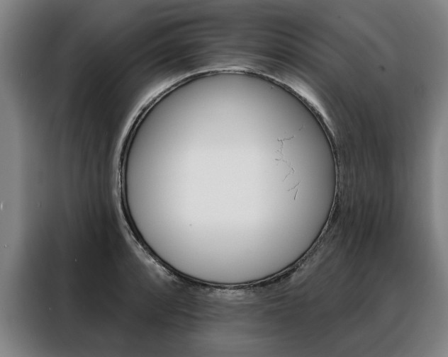 X0000088471088200705220935