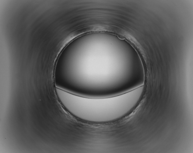 X0000088471089200705220935