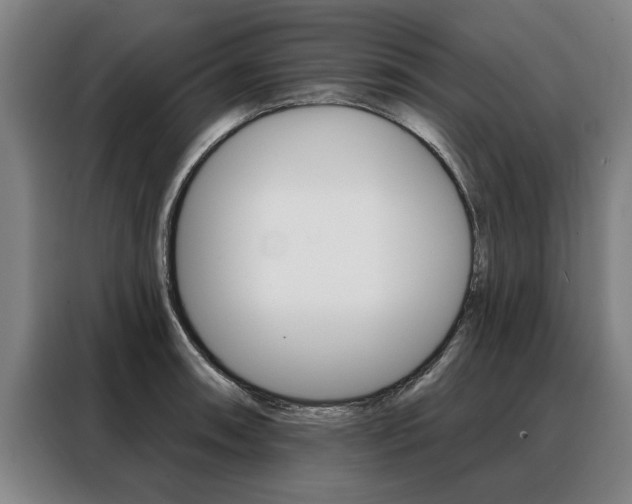 X0000088471090200705220935