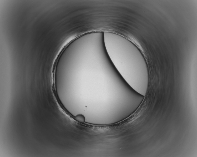 X0000088471095200705220935