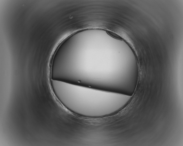 X0000088471096200705220935