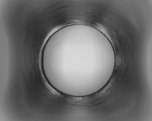 X0000088471098200705220935