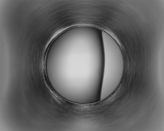 X0000088471101200705220935