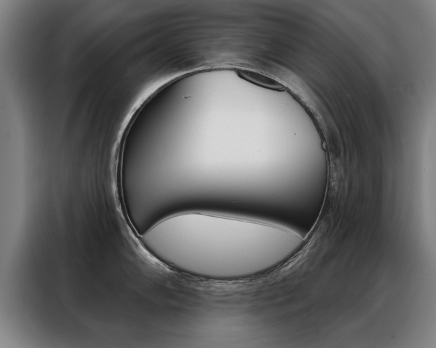 X0000088471102200705220935