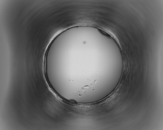 X0000088471103200705220935