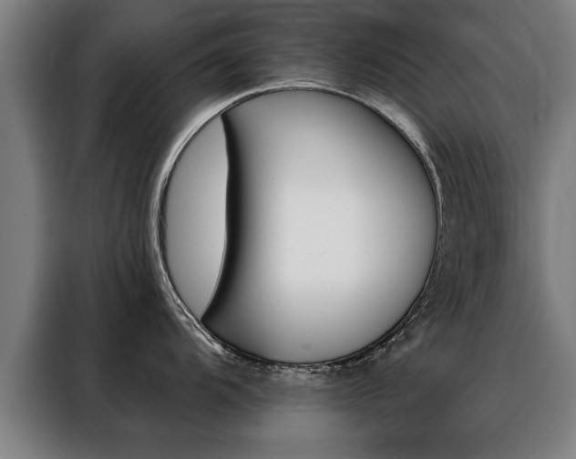 X0000088471104200705220935