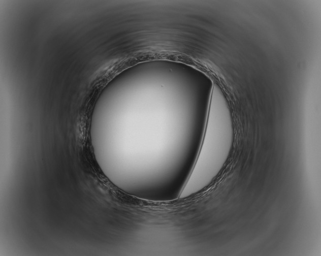 X0000088471110200705220934