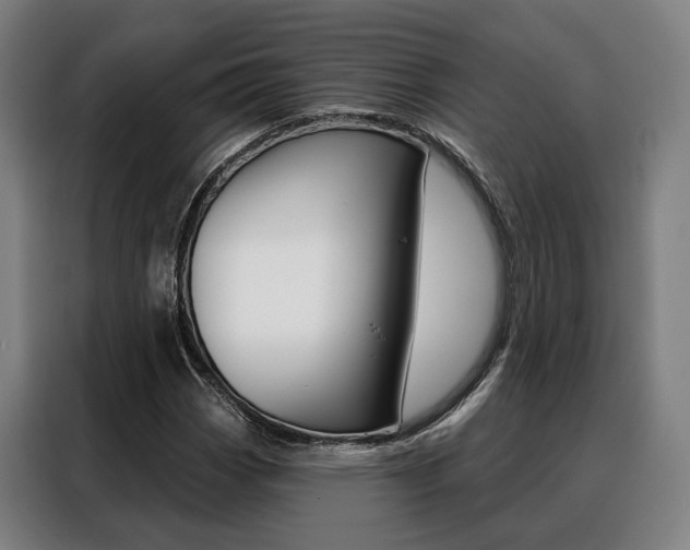 X0000088471113200705220935