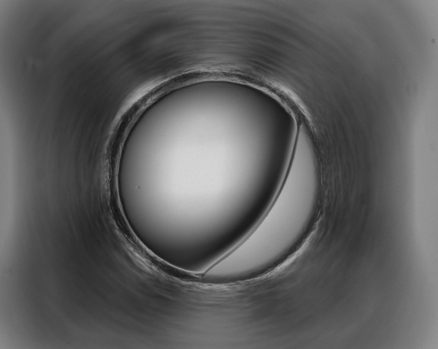 X0000088471114200705220935