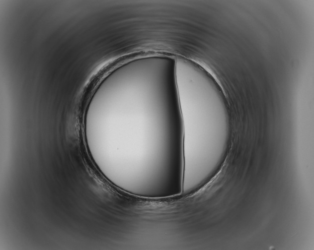 X0000088471115200705220935
