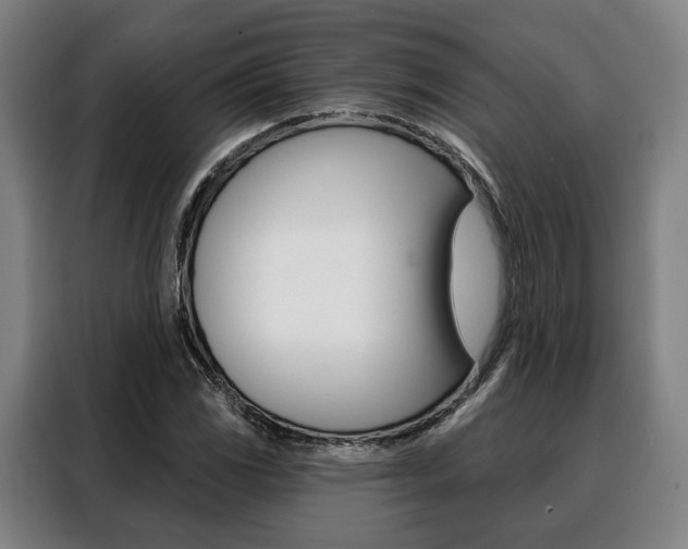 X0000088471117200705220935