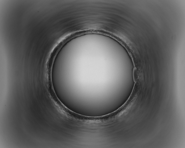 X0000088471118200705220935