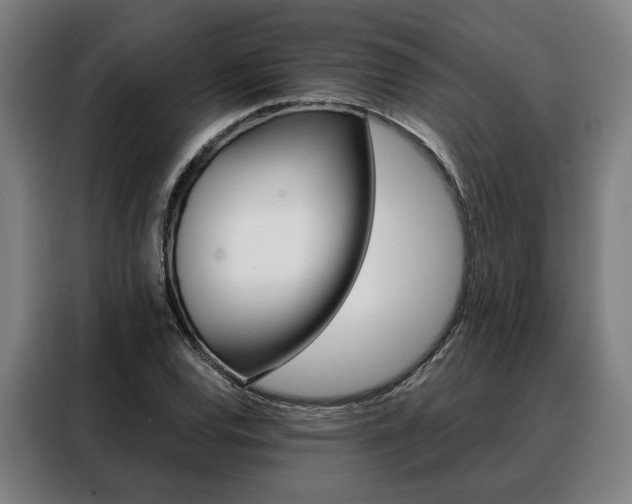 X0000088471120200705220935