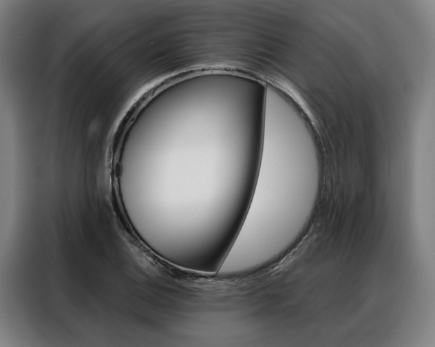 X0000088471124200705220935