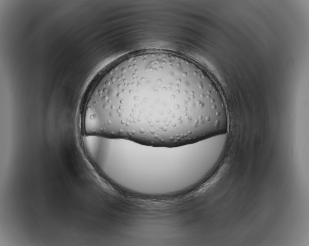 X0000088471125200705220935