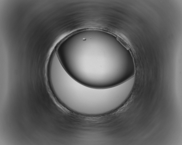 X0000088471128200705220935