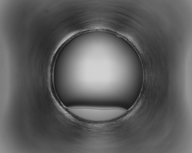 X0000088471134200705220935