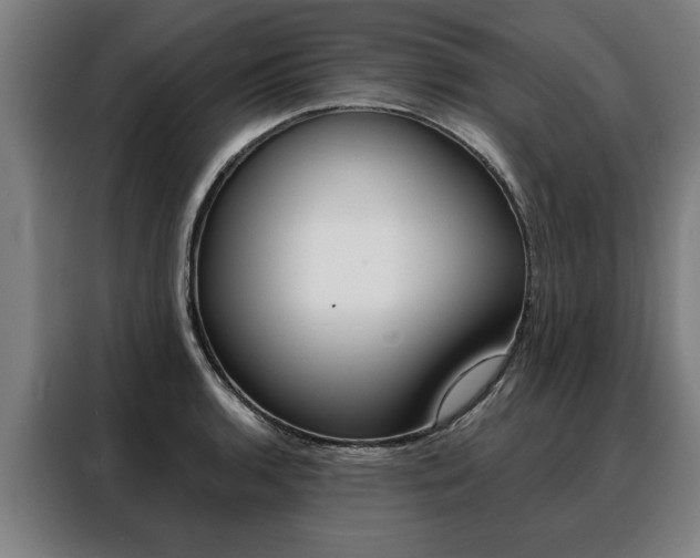 X0000088471136200705220935