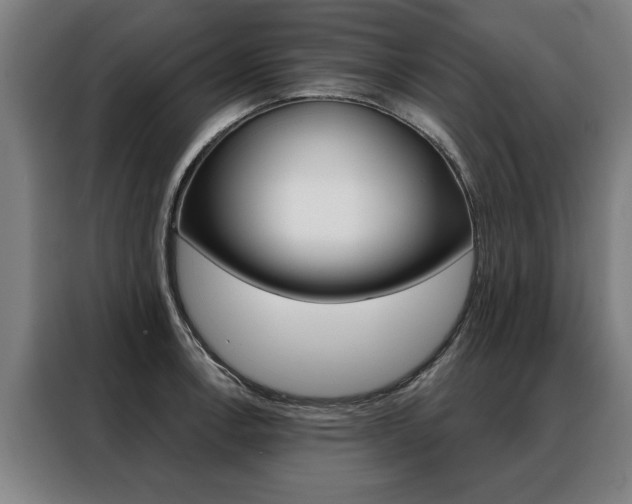 X0000088471138200705220935