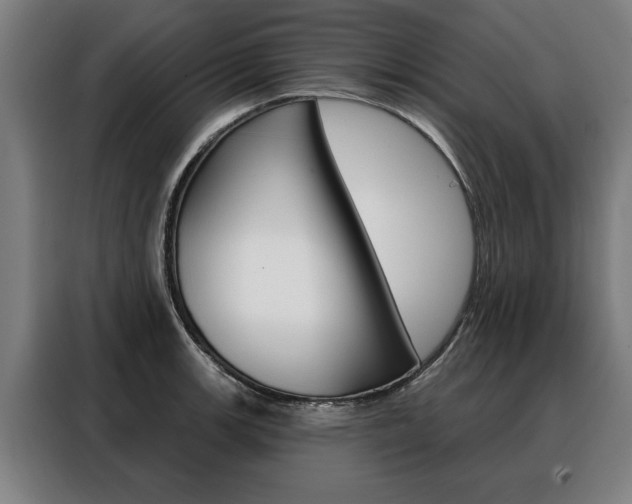 X0000088471139200705220935