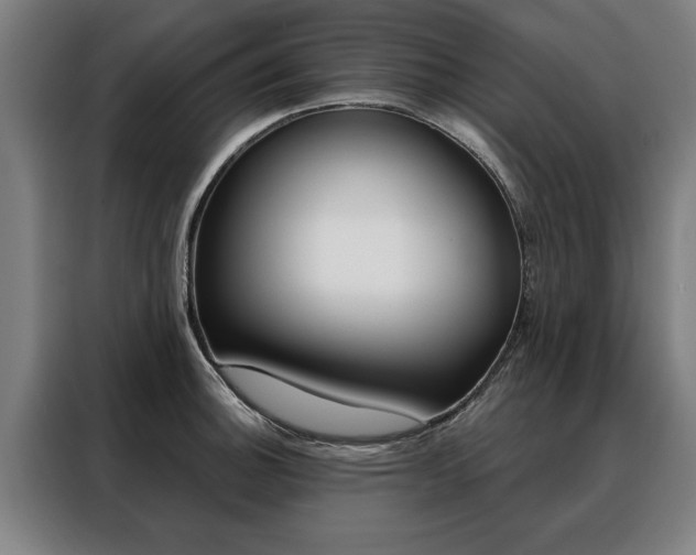 X0000088471140200705220935