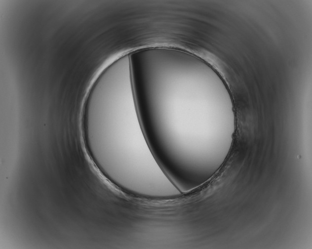 X0000088471142200705220935