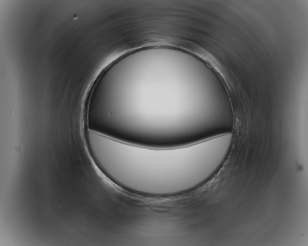 X0000088471143200705220935