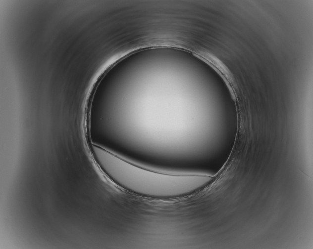 X0000088471144200705220935