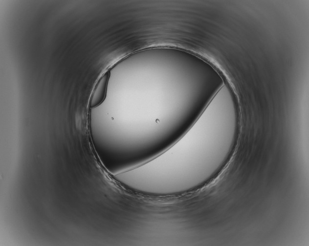 X0000088471145200705220935