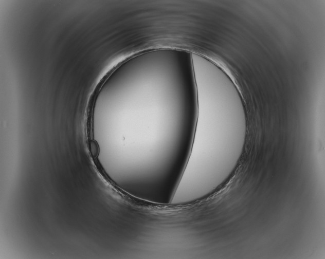X0000088471147200705220935