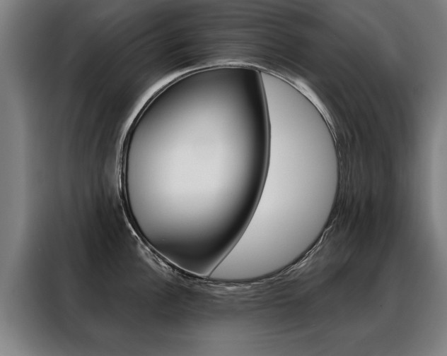 X0000088471148200705220935
