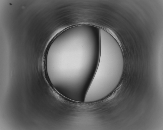 X0000088471149200705220935