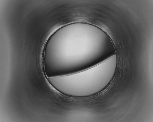 X0000088471151200705220935