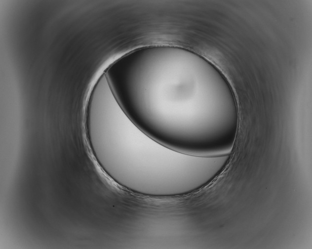 X0000088471152200705220935