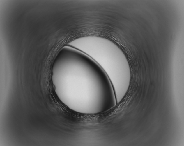 X0000088471153200705220934