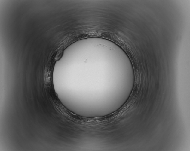 X0000088471154200705220934