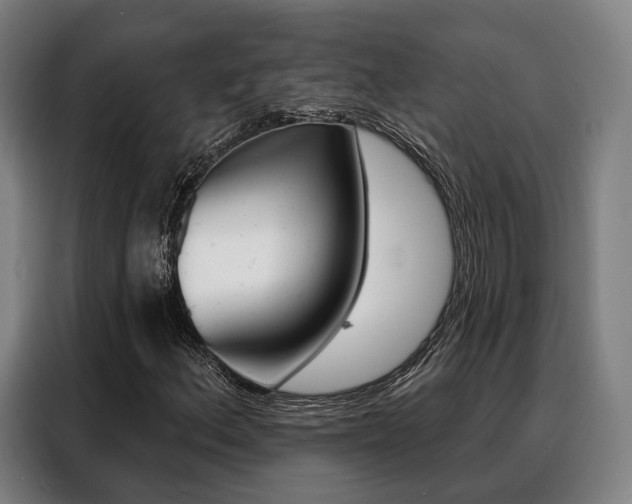 X0000088471156200705220934