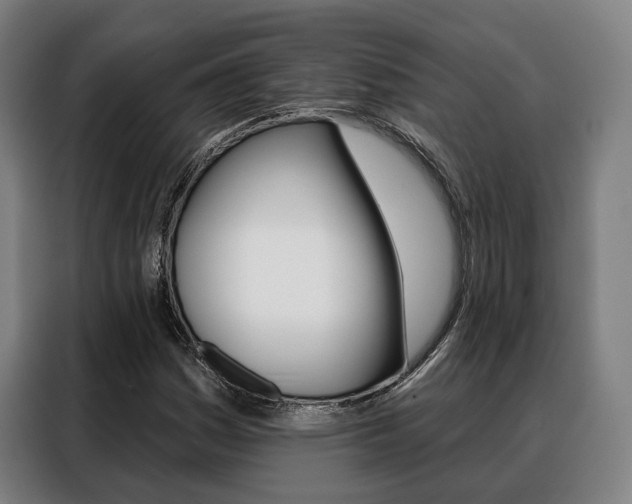 X0000088471161200705220934