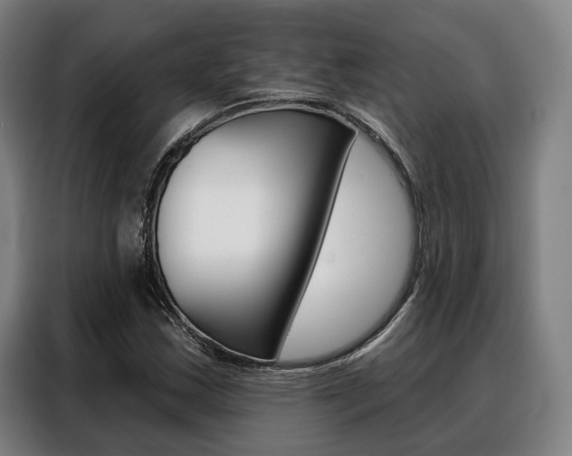 X0000088471163200705220934