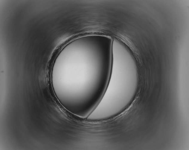 X0000088471164200705220934