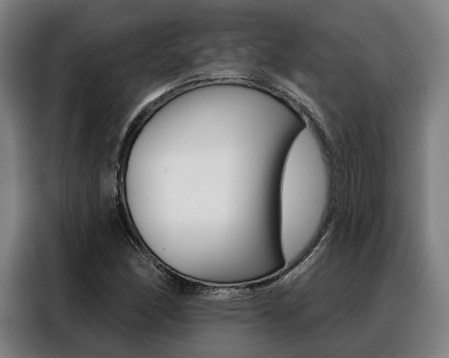 X0000088471166200705220934