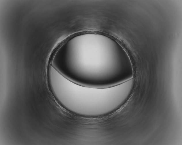 X0000088471168200705220934