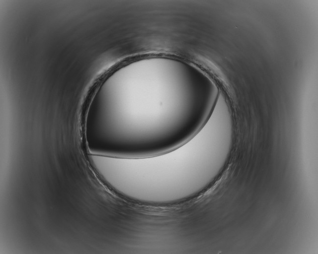 X0000088471172200705220934