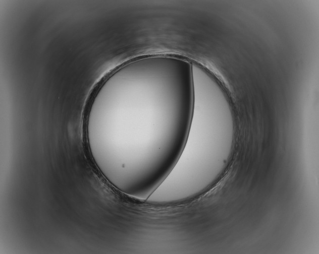 X0000088471173200705220934