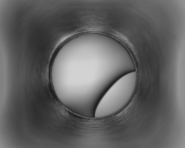 X0000088471174200705220934