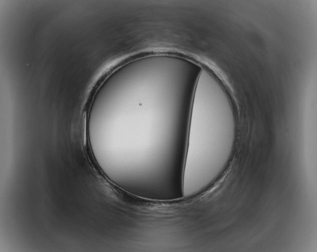 X0000088471175200705220934