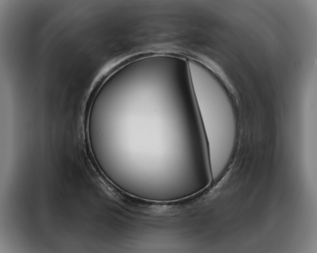 X0000088471176200705220934