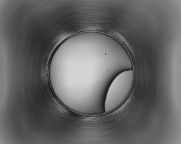 X0000088471178200705220934